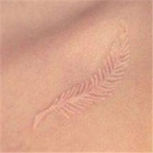 唯美女生锁骨羽毛隐形线条纹身图片